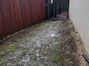Leaf Removal by Brandon Hill for Tracy S. in Vancouver, WA