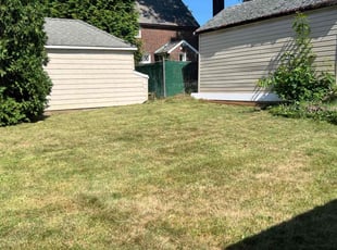 Daphnee S.'s Grass Cutting service result
