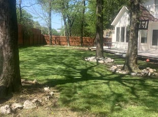 paul s.'s Lawn Mowing Service service result