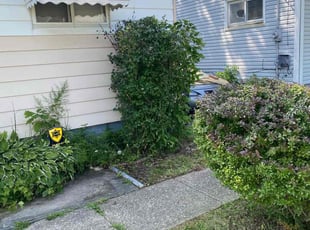 Bush Trimming by Marcus Williams for Kim B. in Cleveland, OH