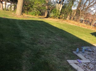 Leaf Removal by Domingo Cansino for Erika B. in Milwaukee, WI