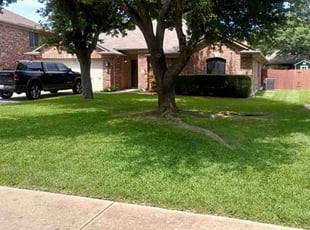 Melissa V.'s Lawn Service service result