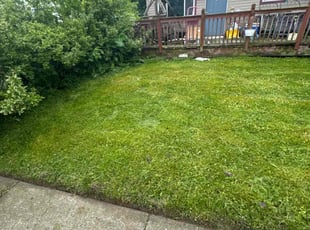 Julie B.'s Lawn Maintenance service result