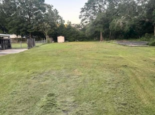 Aaron S.'s Lawn Mowing service result