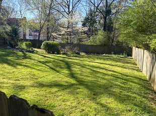 Jodi W.'s Lawn Mowing service result