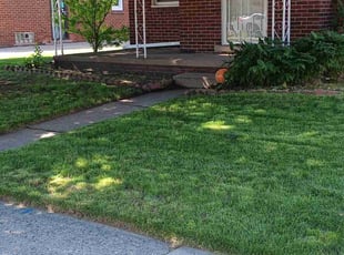 Ortagus F.'s Yard Cutting service result