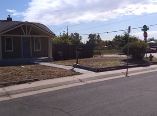 Bush Trimming by Nate Wright for Megan B. in Denver, CO