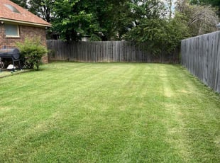Talab A.'s Lawn Care service result