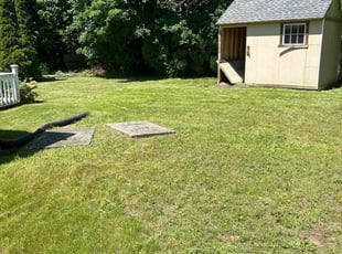 Dan M.'s Lawn Mowing service result