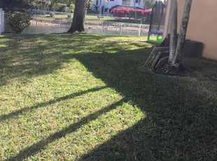 Suzanne B.'s Lawn Mowing service result