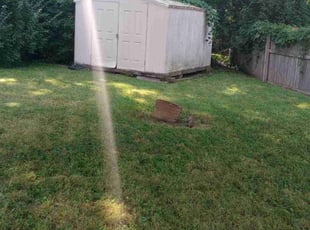 Oswaldo M.'s Yard Cutting service result