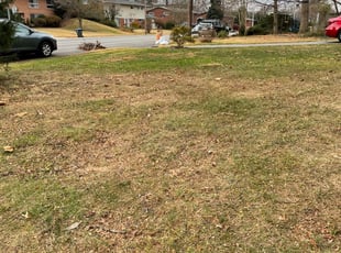Leaf Removal by Alesandre Duarte for Danielle W. in McLean, VA