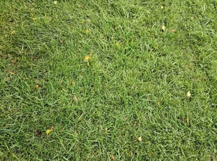 Cleanups by Thad Anderson for Kris W. in Omaha, NE