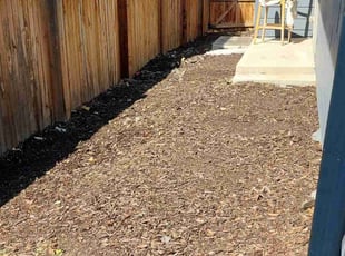 Cleanups by Trent Young for Robert P. in Denver, CO