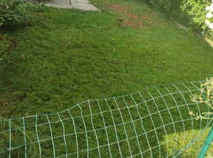 Nanette L.'s Lawn Care service result