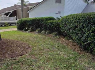 Bush Trimming by David Redman for Misty B. in Panama City Beach, FL