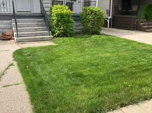 Bush Trimming by Guy Zagara for Jane A. in Buffalo, NY