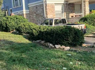 Bush Trimming by Julio Almestica for Troy H. in Kansas City, MO