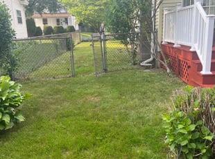 Cleanups by Arcadio Reyes for Caitlin F. in East Hartford, CT