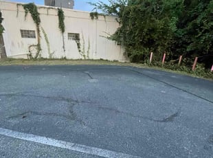 Cleanups by Herschell Bradley for Mike L. in Tallahassee, FL