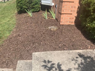Weeding by Aaron Thichangthong for Michael S. in Woodbridge, VA