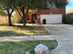 Bush Trimming by Danny Blanco for Duane B. in Houston, TX