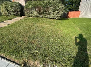 Bush Trimming by Julian Sanchez for Ashley W. in Dallas, TX