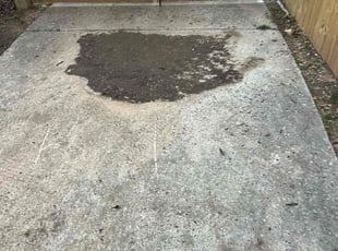 Leaf Removal by Will Currin for William P. in Concord, NC