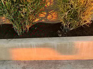 Bush Trimming by George Islas for Ruben V. in Huntington Beach, CA