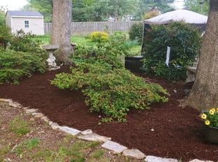 Mulching by Chris Thomas for Rosalind G. in Richmond, VA