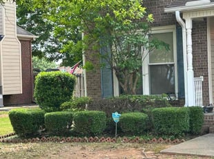 Bush Trimming by Ann Lawrence for Lucretia C. in Madison, AL