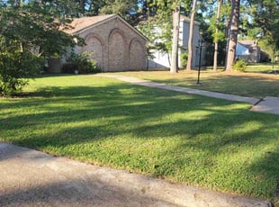 Anthony A.'s Yard Cutting service result
