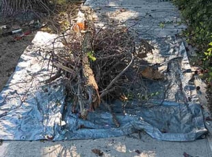 Cleanups by Reginald White for Jason K. in Kansas City, MO