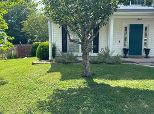 Martha C.'s Lawn Mowing Service service result