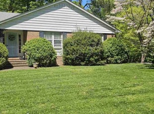 Jeannette L.'s Lawn Mowing service result