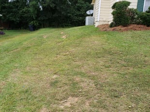 Bush Trimming by Antwan Hairston for Margaret D. in Jonesboro, GA
