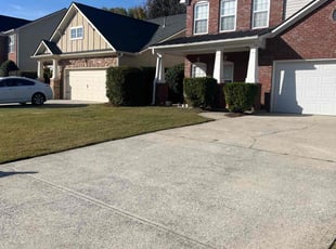 Virginia B.'s Yard Cutting service result