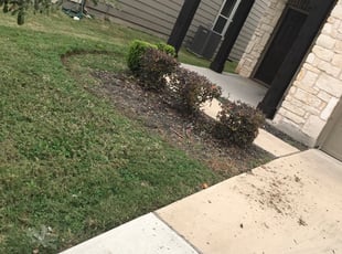 Bush Trimming by Alvin Smith for Aravind P. in Austin, TX
