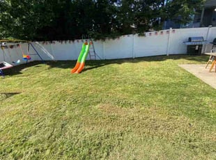Daishaun M.'s Lawn Care service result