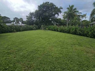 Elizabeth L.'s Lawn Maintenance service result