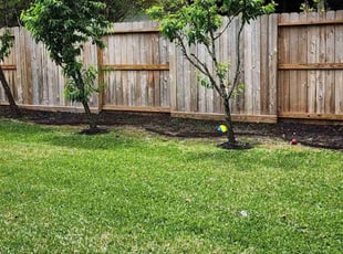 Shawn R.'s Yard Cutting service result