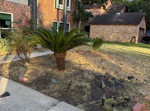 Weeding by Juan Mezomo for Rene C. in Humble, TX