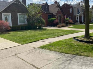 Nancy W.'s Grass Cutting service result