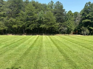 Christine E.'s Lawn Maintenance service result