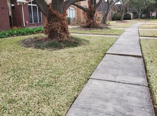 Leaf Removal by Billy Foster for RANESSA D. in Missouri City, TX
