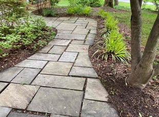 Leaf Removal by David Trejo for Brendon C. in Rockville, MD