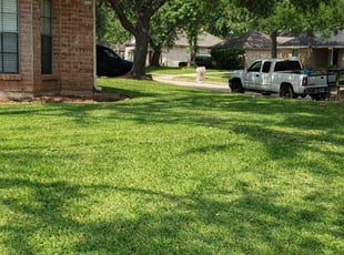 Cleanups by Andres Cruz for Adam B. in Richmond, TX