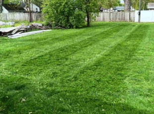 Anthony A.'s Lawn Care service result