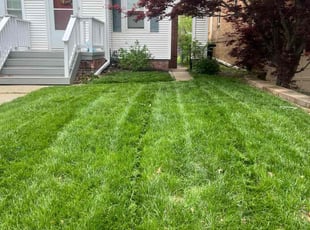 Reggie R.'s Grass Cutting service result
