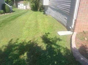 Steven S.'s Lawn Maintenance service result